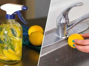 6 façons ingénieuses d’utiliser le zeste de citron à la maison