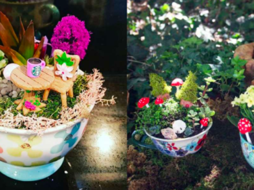 17 idées de mini-jardins dans une tasse