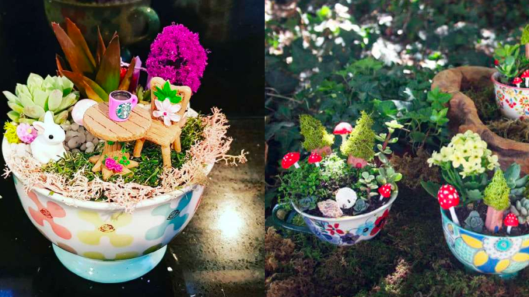 17 idées de mini-jardins dans une tasse