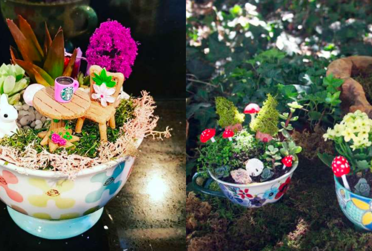 17 idées de mini-jardins dans une tasse