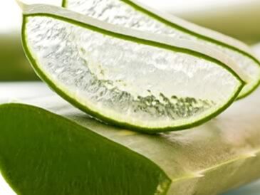 Une fois que vous aurez lu ce que l’aloe vera peut faire pour votre santé, vous serez étonné.