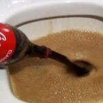 Adoucissant et coca cola dans les toilettes : pourquoi faut-il en mettre une fois par mois