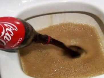 Versez un demi-litre de Coca dans les toilettes – incroyable ce qui se passe ensuite