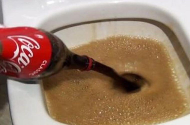 Versez un demi-litre de Coca dans les toilettes – incroyable ce qui se passe ensuite