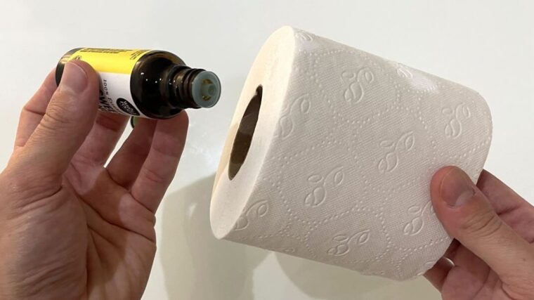 Comment parfumer toute la salle de bain avec un rouleau de papier toilette