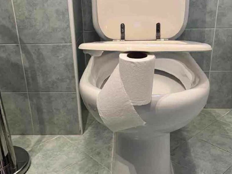 Ne sortez jamais de la maison sans poser le papier toilette comme ceci