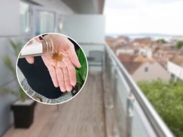 La raison inattendue pour laquelle presque tout le monde répand de la cannelle sur le balcon en août